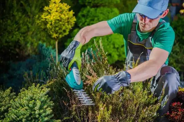 landscaping services Sawyerwood